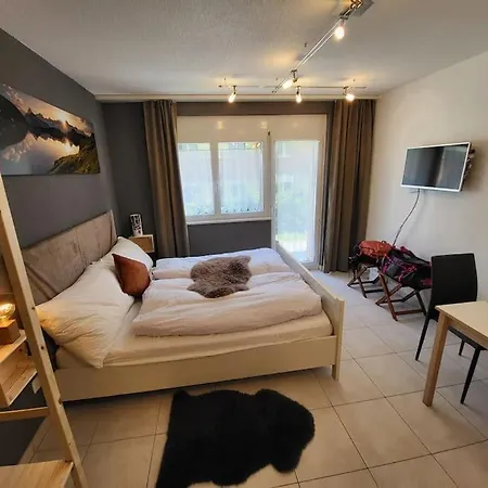 Ski-in Cosy Lägenhet *